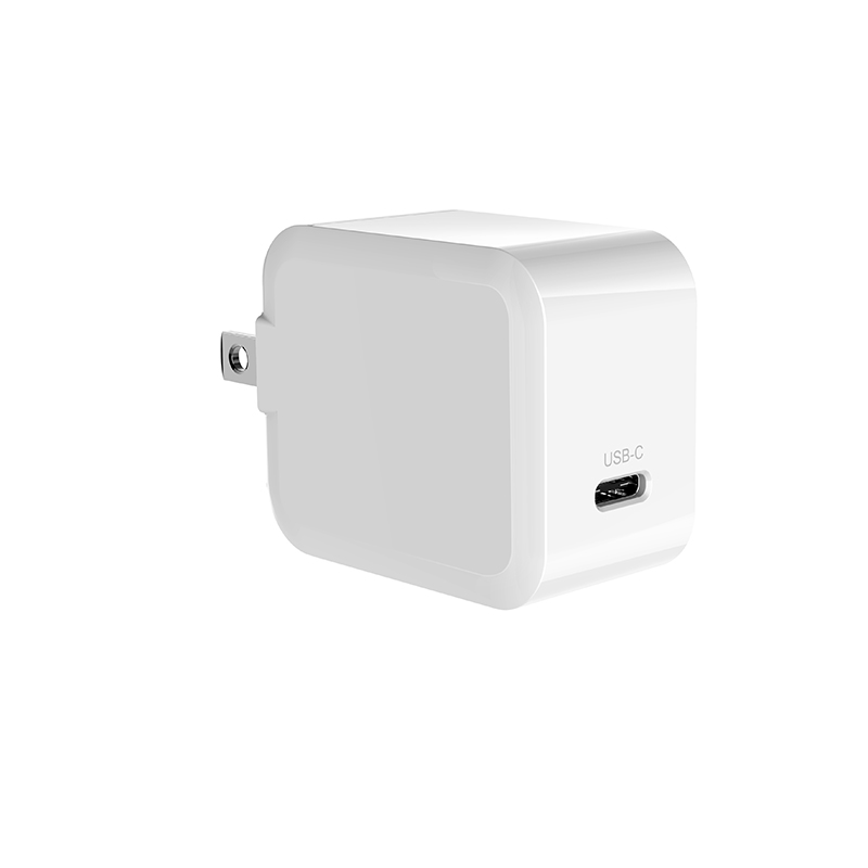 DL20W WALL CHARGER