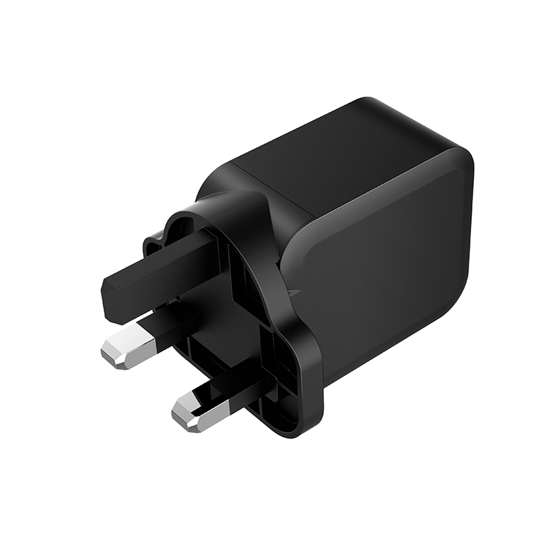 DL20W WALL CHARGER