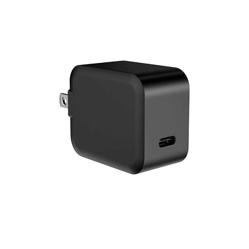 DL20W WALL CHARGER