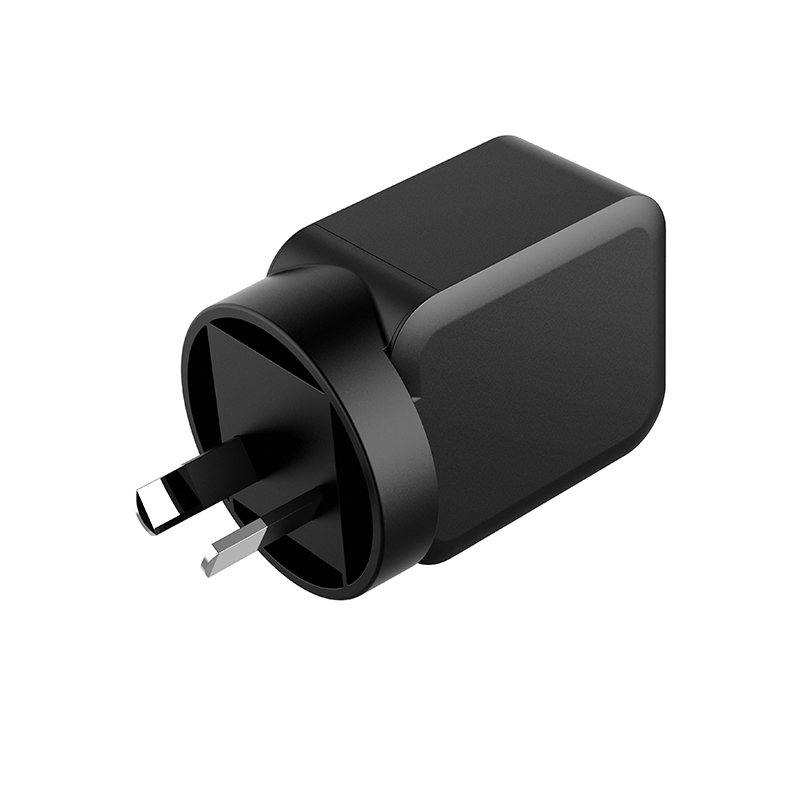 DL20W WALL CHARGER