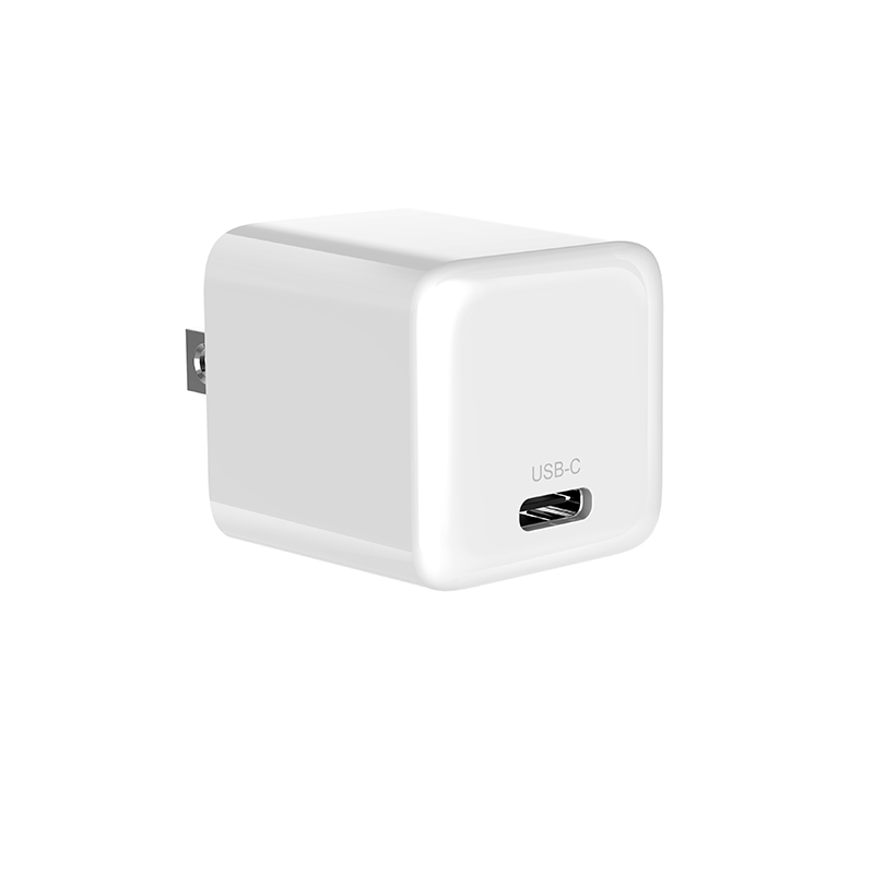 DN20W WALL CHARGER