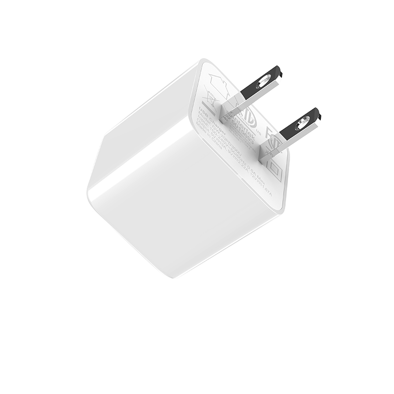 DN20W WALL CHARGER