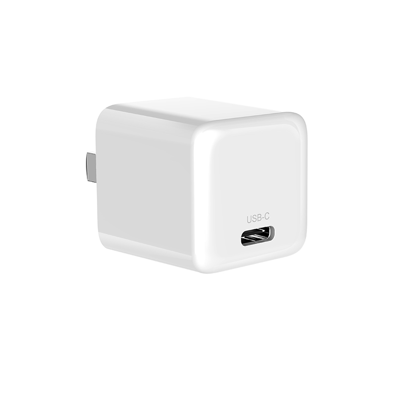 DN20W WALL CHARGER