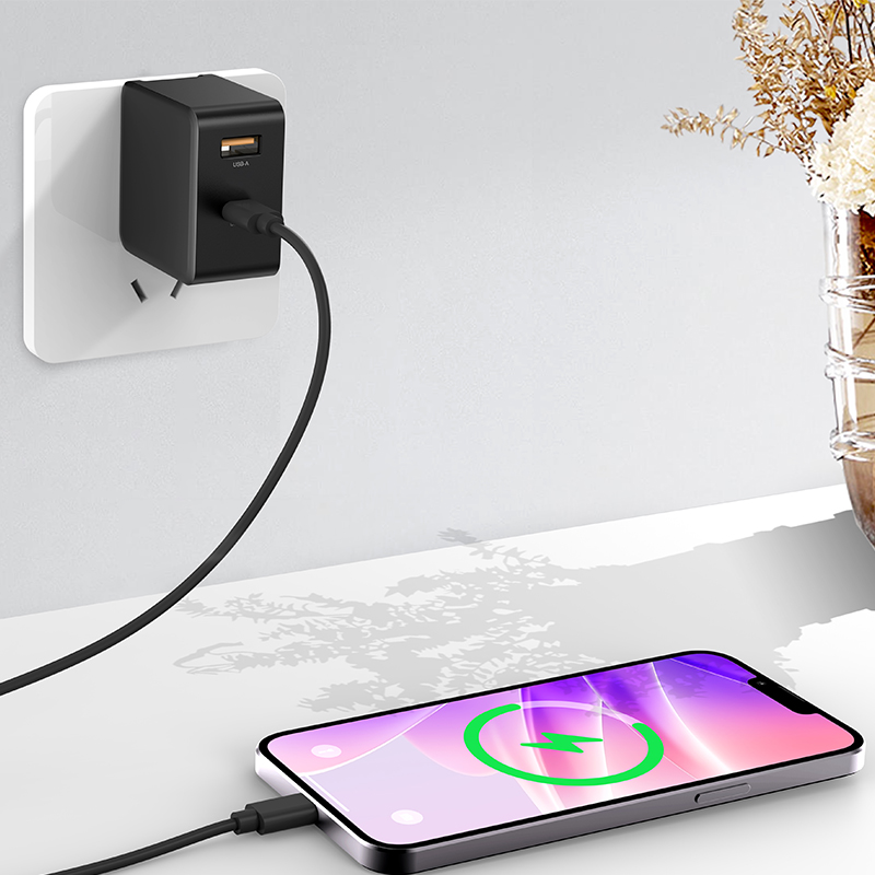 PD45W WALL CHARGER