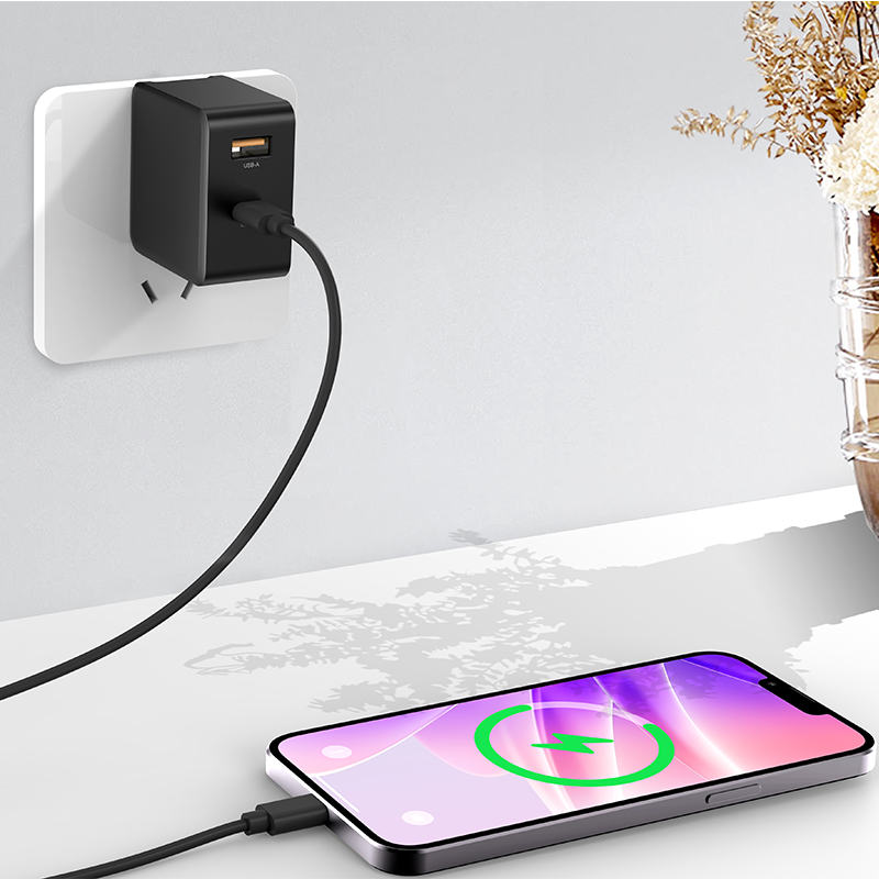 PD65W WALL CHARGER