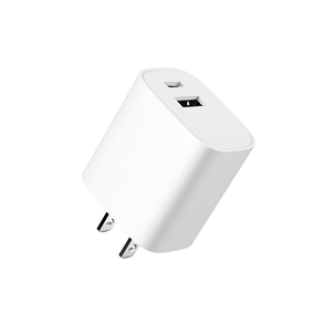 20W WALL CHARGER
