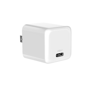 DN20W WALL CHARGER